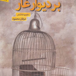 کتاب بر دیوار غار