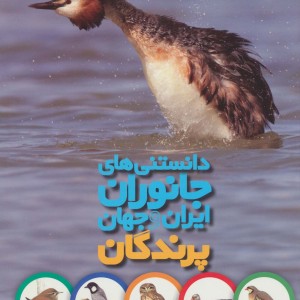دانستنی های جانوران ایران و جهان پرندگان
