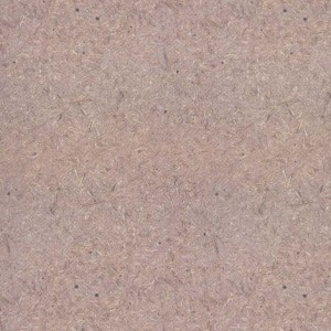 زندگی پرافتخار ابو ایوب و ابو دجانه انصاری