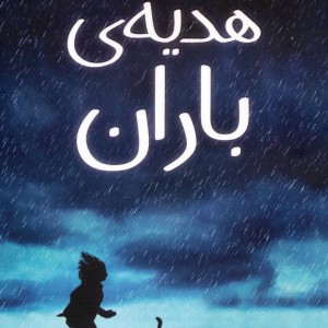 هدیه باران - آن ام.مارتین