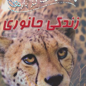 100 حقیقت31