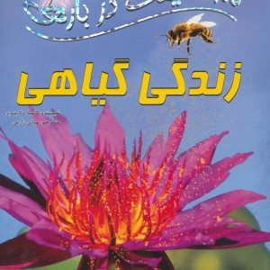 100 حقیقت32