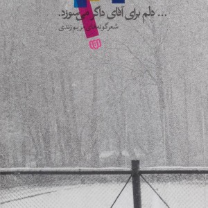 ...دلم برای آقای داگر می سوزد.