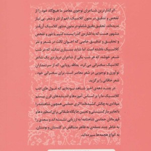 نابهنگامی معنا