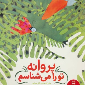 کتاب پروانه تو را می شناسم اثر هالی کلر