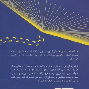 شنیدم که دیگر نمی آیی