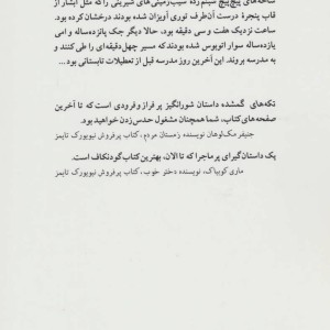 تکه های گمشده