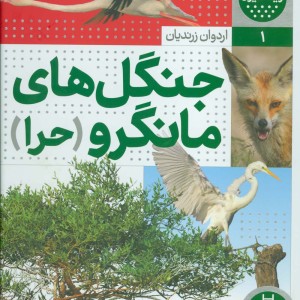 جنگل های مانگرو