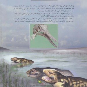تکامل نشر فاطمی