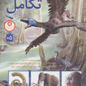 تکامل نشر فاطمی