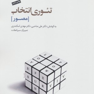 تئوری انتخاب