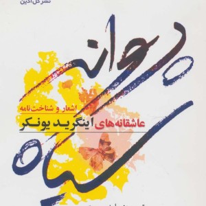 پروانه سیاه