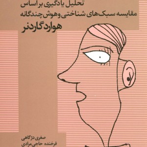 تحلیل یادگیری براساس مقایسه سبک های شناختی و هوش چندگانه