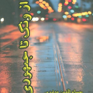 کتاب از ونک تا جمهوری