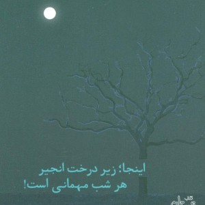 اینجا؛زیر درخت انجیر هر شب مهمانی است