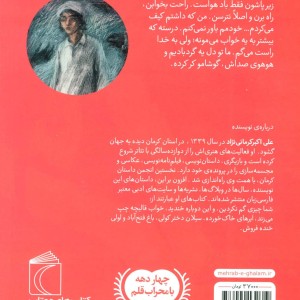 کتاب دشت متلاطم اثر علی اکبر کرمانی نژاد