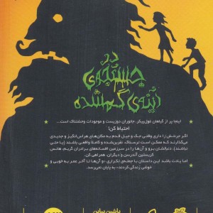 در جستجوی آینه گمشده
