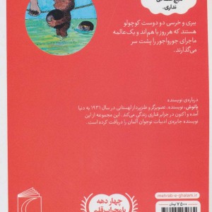 کتاب داستان های خرسی و ببری بیا گنج پیدا کنیم