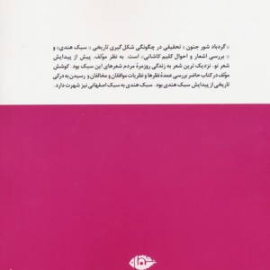 گردباد شور جنون