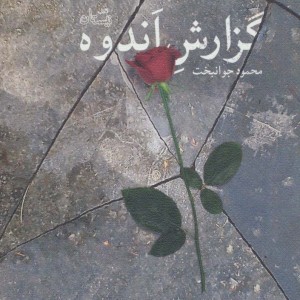 گزارش اندوه