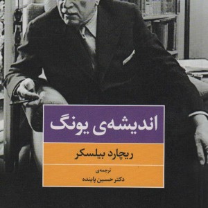 اندیشه یونگ
