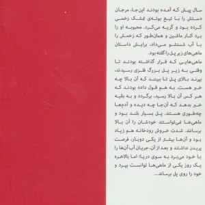 ماهی های زیر پل
