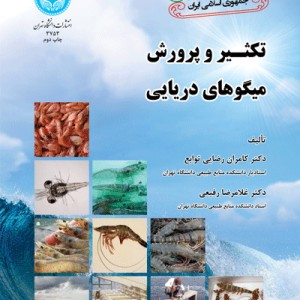 تکثیر و پرورش میگوهای دریایی