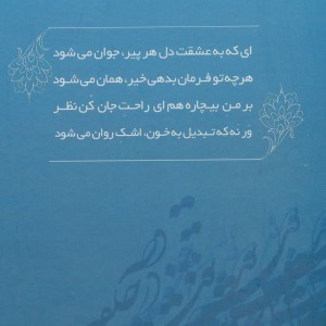 فصل پرواز