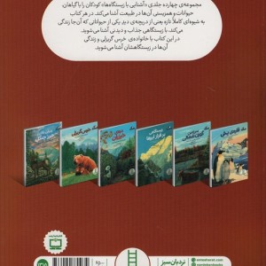 خرس گریزلی