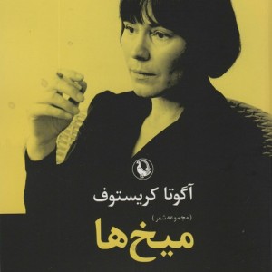 میخ ها