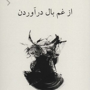 کتاب از غم بال در آوردن