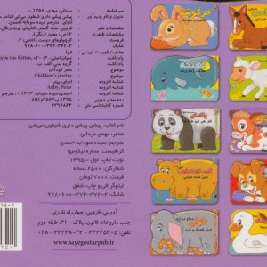 کتاب پیشی پیشی داری شیطون میشی