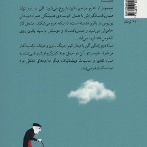 دیگر ماجراهای اتفاقی مرد صد ساله