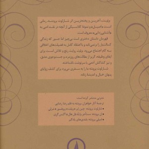 ویلت نشر نی
