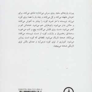 کبوتر توی کوزه