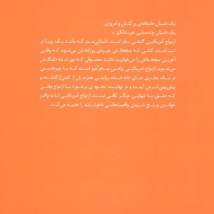 ازدواج آمریکایی ترجمه بیتا ابراهیمی