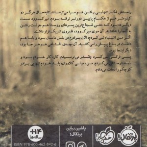 مهمان همزادی از قلمروی ناشناخته