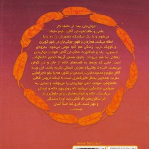 شوالیه های کوچک شهر