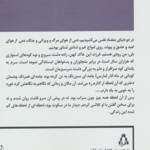 پرواز با بالهای شکسته