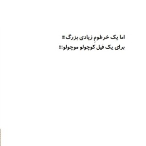 پوملو فیل فیلسوف 2