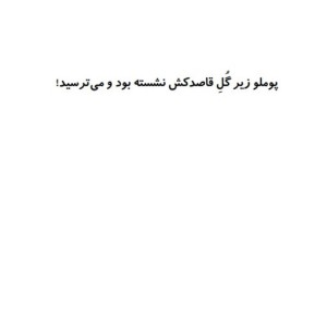 پوملو فیل فیلسوف 2