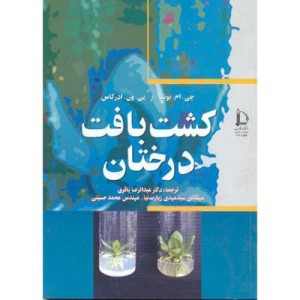 کشت بافت درختان