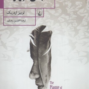 بلای کبوتر ها