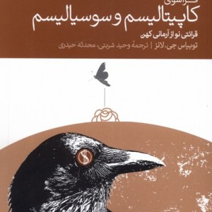 فراسوی کاپیتالیسم و سوسیالیسم