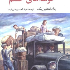 خوشه های خشم نشر نگاه قطع رقعی