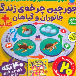 پازل جعبه 40 تکه فومی جورچین چرخه ی زندگی جانوران و گیاهان