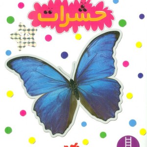 حشرات نشر نردبان