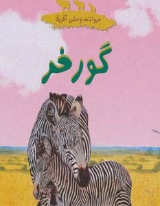 گورخر