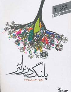 پلنگ در پرانتز