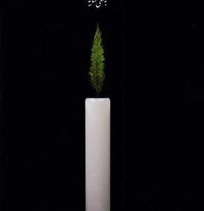 کتاب حافظ به سعی سایه جیبی